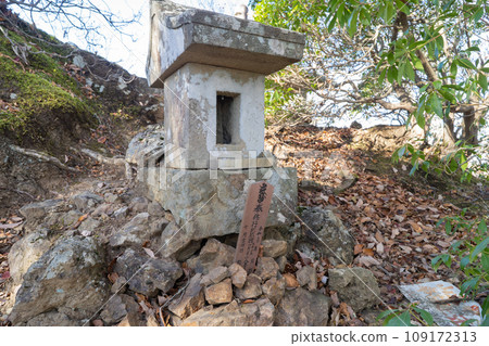 椎谷山頂神社（秩父） 109172313