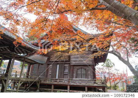 萬邊寺(秩父寺、34觀音聖地) 萬邊寺(秩父寺、34觀音聖地) 109172346