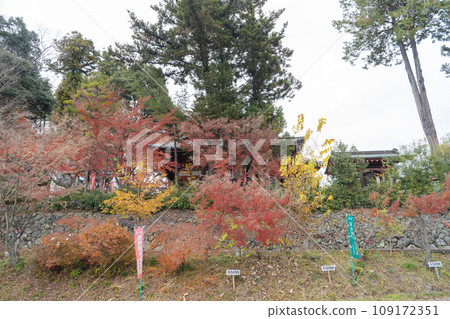 萬邊寺停車場(秩父寺三十四觀音聖地) 萬邊寺停車場(秩父寺三十四觀音聖地) 109172351