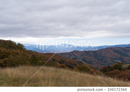 從秩父高原農場眺望的景色(遠處的良神山) 從秩父高原農場眺望的景色(遠處的良神山) 109172368