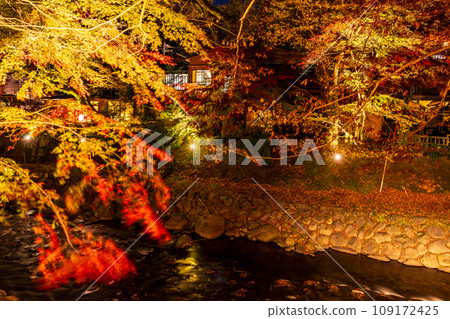 （靜岡縣）修善寺溫泉/桂川紅葉彩燈 109172425