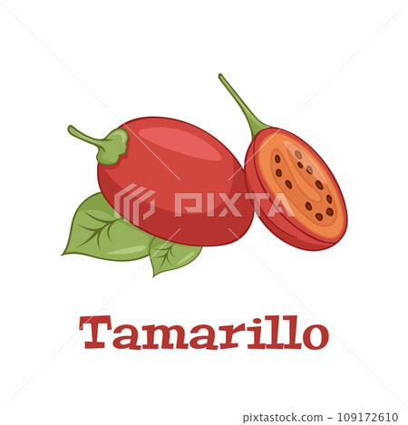 Tamarillo or Solanum betaceum, isolated on white background vector illustration. Tamarillo or Solanum betaceum, isolated on white background vector illustration. 109172610