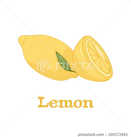 Lemon fruit isolated on a white background vector illiustation 109172691