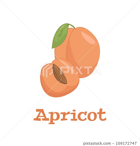 Flat vector of Apricots isolated on white background. Flat illustration graphic icon Flat vector of Apricots isolated on white background. Flat illustration graphic icon 109172747