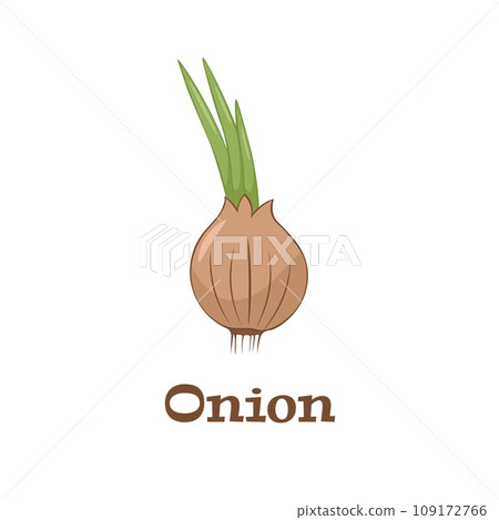 Onion Flat simple design. Vector illustration of organic farm fresh vegetables. Isolated on white background 109172766