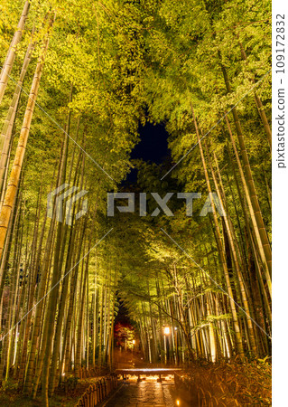 （靜岡縣）修善寺溫泉竹林小徑/燈飾 109172832