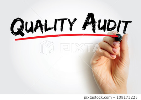 Quality Audit - systematic examination of an organization's quality management system, text concept background Quality Audit - systematic examination of an organization's quality management system, text concept background 109173223