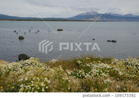 Ultima Esperanza Sound from Puerto Natales. Ultima Esperanza Sound from Puerto Natales. 109173392