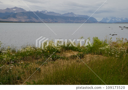 Ultima Esperanza Sound from Puerto Natales. Ultima Esperanza Sound from Puerto Natales. 109173520