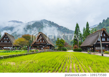 Gokayama, Toyama Prefecture, Gassho-zukuri village in the autumn rain Gokayama, Toyama Prefecture, Gassho-zukuri village in the autumn rain 109173580