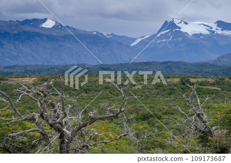 Scrubland and mountains in the Chilean Patagonia. Scrubland and mountains in the Chilean Patagonia. 109173687