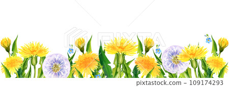 watercolor horizontal banner with summer field flowers, hand draw yellow dandelions and blow balls, leaves, herbs, butterfly on white background watercolor horizontal banner with summer field flowers, hand draw yellow dandelions and blow balls, leaves, herbs, butterfly on white background 109174293