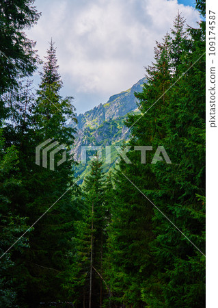 Mountains range near forest trees at summer day 109174587