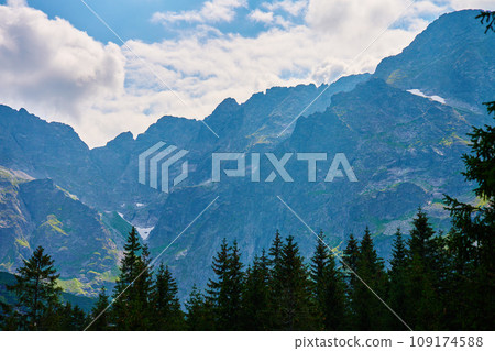 Mountains range near forest trees at summer day 109174588