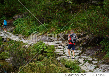 Man hiking in forest with backpack 109174589