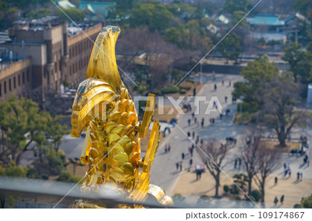 The view from the Osaka Castle tower 109174867