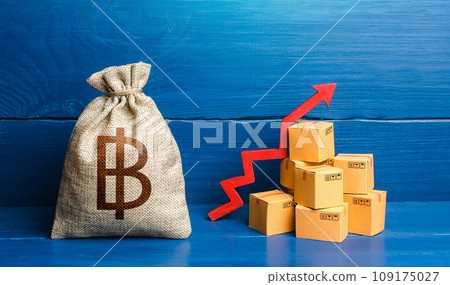 Thai baht money bag with boxes and up arrow. Good consumer sentiment and demand for goods. Income increase, acceleration and growing of economy. High sales. Production rise. Growing prices 109175027