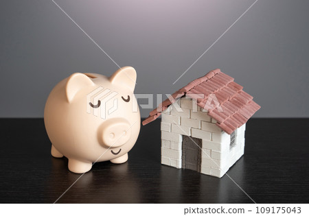 Calm sleepy pig piggy bank with a house. Collect money to buy a house. Deposits and real estate investments. 109175043