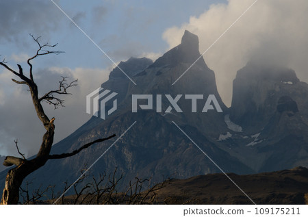 Paine Horns. 109175211