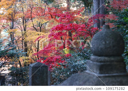 猿丸神社　 109175282