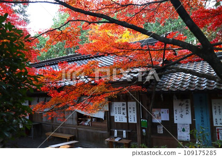 Sarumaru Shrine　 109175285