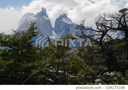 Paine Horns. 109175386
