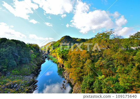 [Gifu Prefecture] Yaotsu Town, Kamo District, Autumn scenery from Kaneyama Bridge 109175640