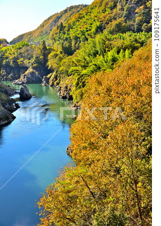[岐阜縣] 加茂郡八津町、金山橋的秋景 109175641