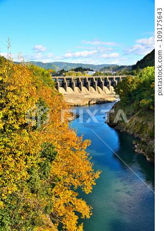 [Gifu Prefecture] Yaotsu Town, Kamo District, Kaneyama Dam in autumn 109175643