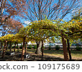 park plant arch park plant arch 109175689
