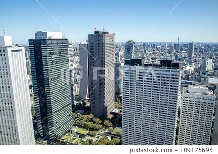 View from the south observation deck of the Tokyo Metropolitan Government Building (Shinjuku subcenter, towards Cocoon Tower) 109175693