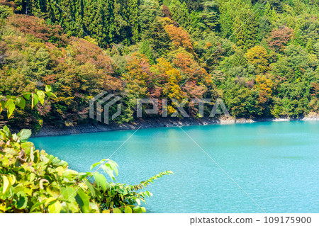 A scenic tour of Oigawa Railway in Shizuoka Prefecture, Igawa Dam Lake (Lake Igawa) A scenic tour of Oigawa Railway in Shizuoka Prefecture, Igawa Dam Lake (Lake Igawa) 109175900
