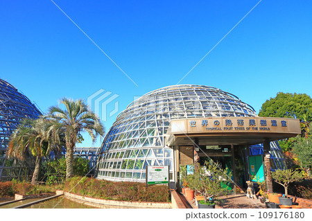 Scenery of Higashiyayama Fruit Park, Nagoya City, Aichi Prefecture Scenery of Higashiyayama Fruit Park, Nagoya City, Aichi Prefecture 109176180
