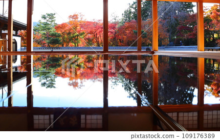 Hotokuji Autumn floor maple Hotokuji Autumn floor maple 109176389