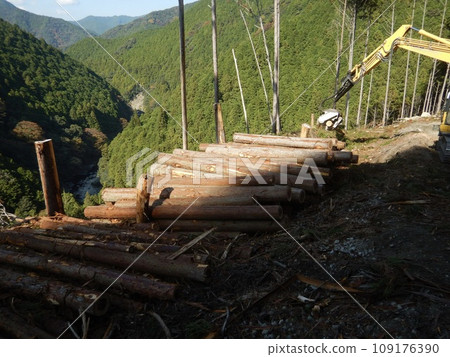 About forestry About forestry 109176390