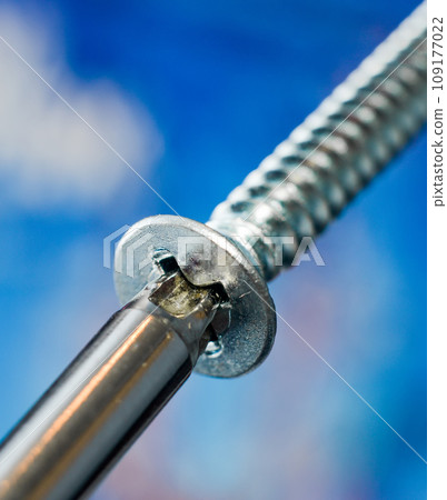 nut and bolt 109177022