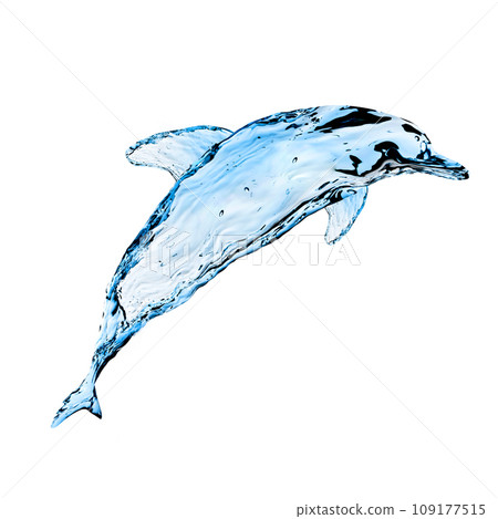 Water Dolphin 109177515