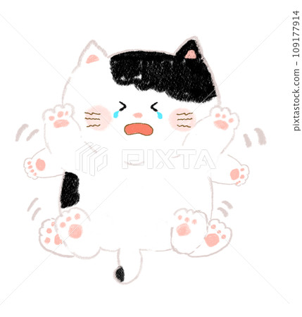 一隻貓哭著撲騰,手繪 一隻貓哭著撲騰,手繪 109177914