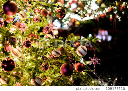 Christmas Image 109178510