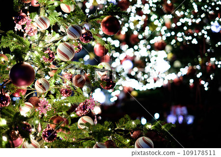 Christmas Image 109178511