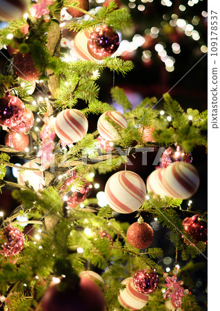 Christmas Image 109178537