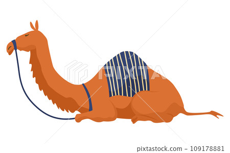 Middle east camel. Arabic desert traditional symbol. Flat vector illustration Middle east camel. Arabic desert traditional symbol. Flat vector illustration 109178881