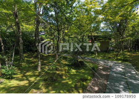 宮城縣松島圓通院庭園初夏景觀 宮城縣松島圓通院庭園初夏景觀 109178950