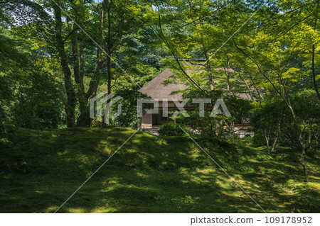 宮城縣松島圓通院庭園初夏景觀 宮城縣松島圓通院庭園初夏景觀 109178952