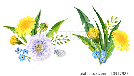 set of watercolor bouquet with summer field flowers, hand draw round frame of yellow dandelions and blow balls, leaves, herbs, butterfly on white background 109179223