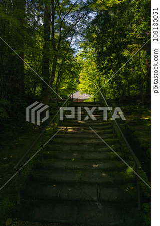 宮城松島圓通院 樹蔭下的石階 宮城松島圓通院 樹蔭下的石階 109180051