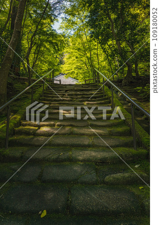 宮城松島圓通院 樹蔭下的石階 109180052