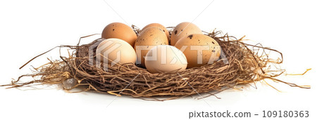 Rustic Farmhouse Banner with Fresh Chicken Eggs and Hay Background isolated. Rustic Farmhouse Banner with Fresh Chicken Eggs and Hay Background isolated. 109180363