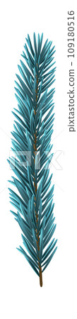 Blue Christmas Fir Branch Blue Christmas Fir Branch 109180516