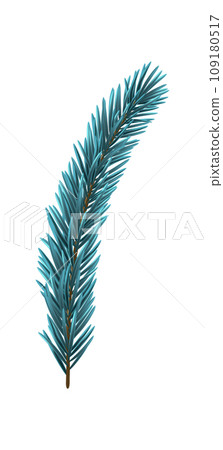 Blue Christmas Fir Branch 109180517